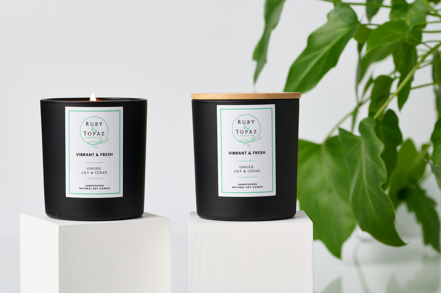 VIBRANT & FRESH 2 SOY CANDLE MAKING KIT