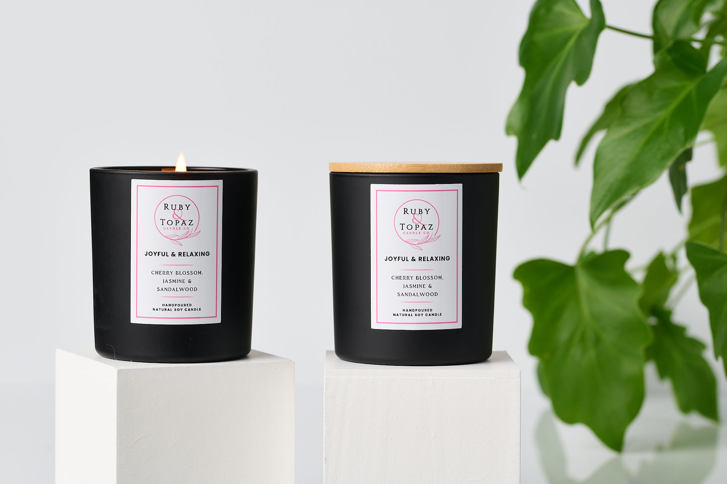 JOYFUL & RELAXING 2 SOY CANDLE MAKING KIT